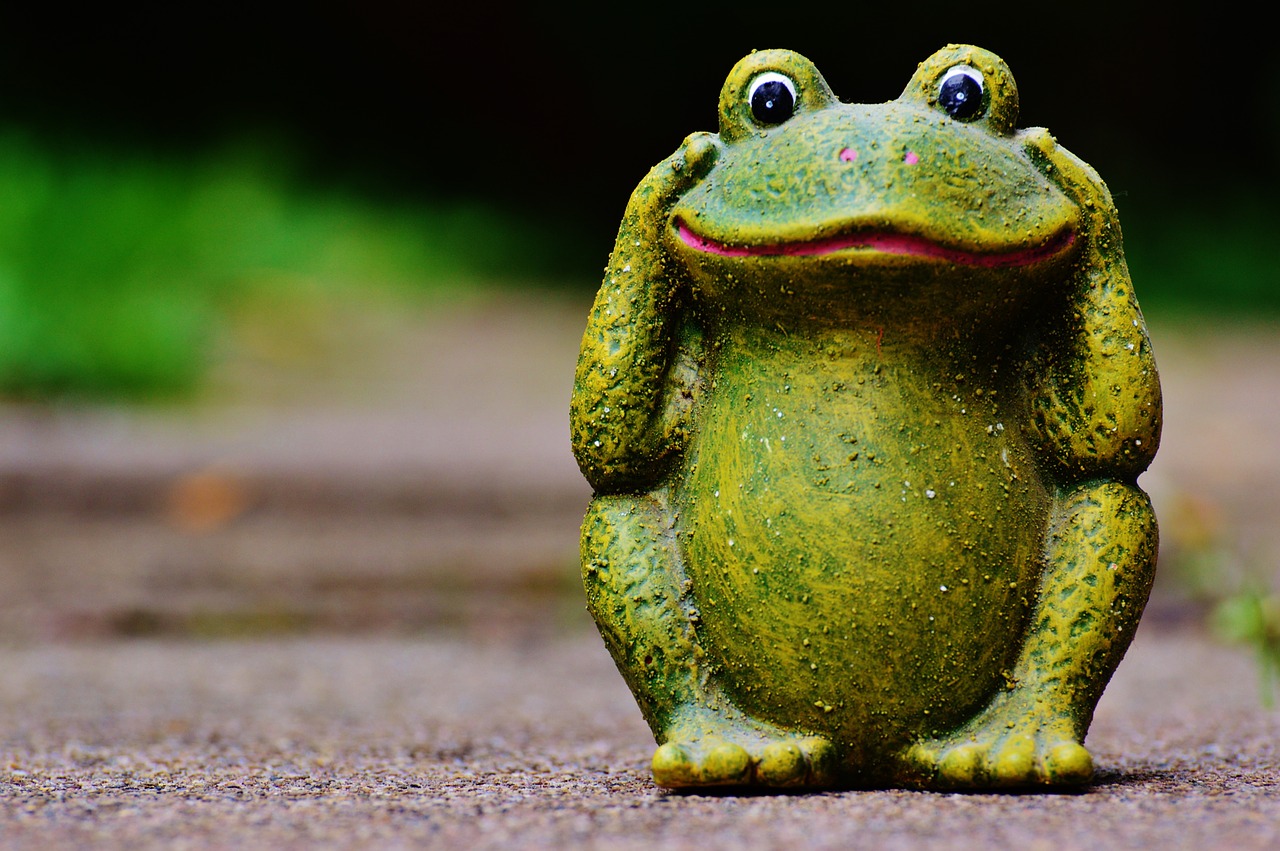 frog figure funny free photo