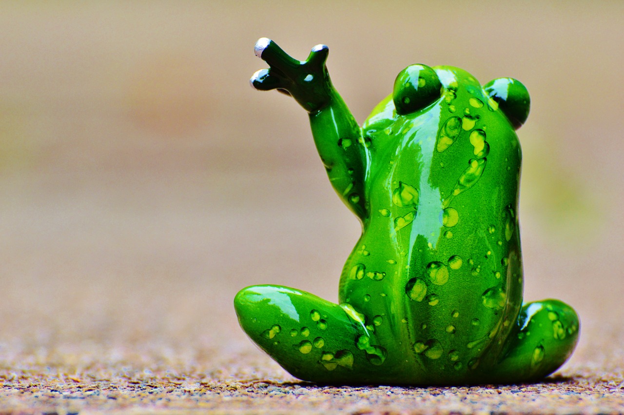 frog wave farewell free photo