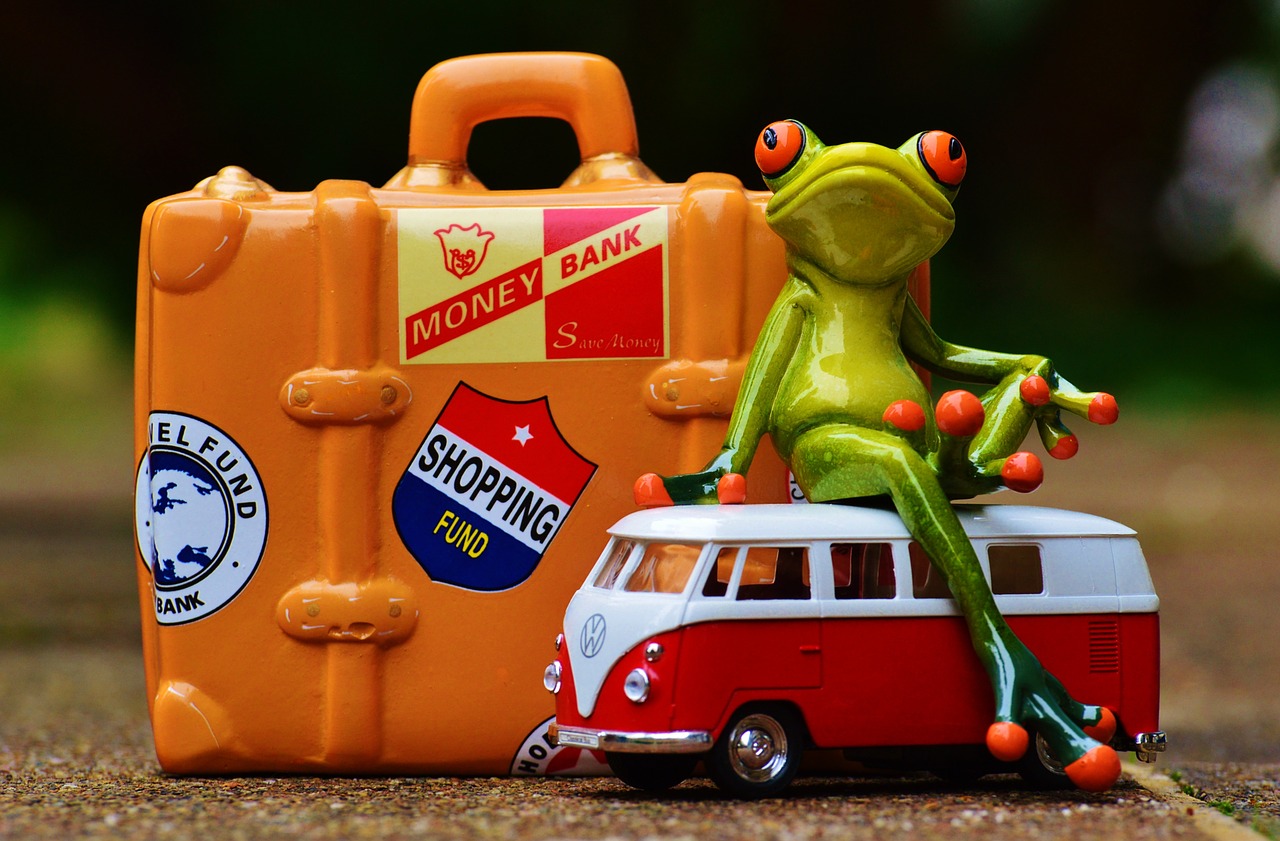 frog travel holiday free photo