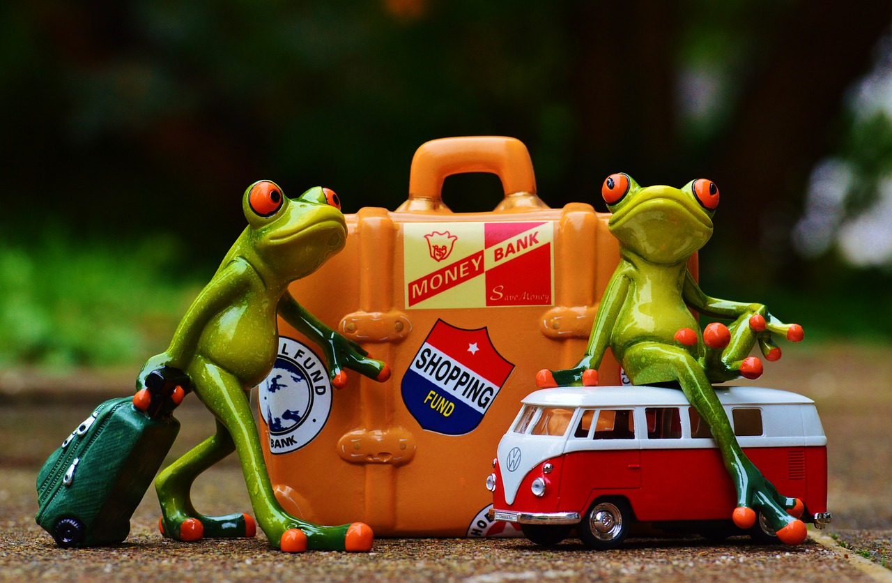 frog travel holiday free photo