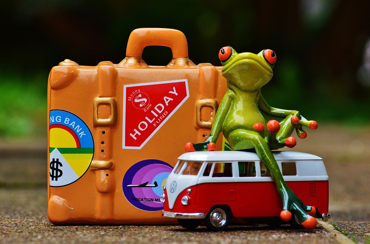 frog travel holiday free photo