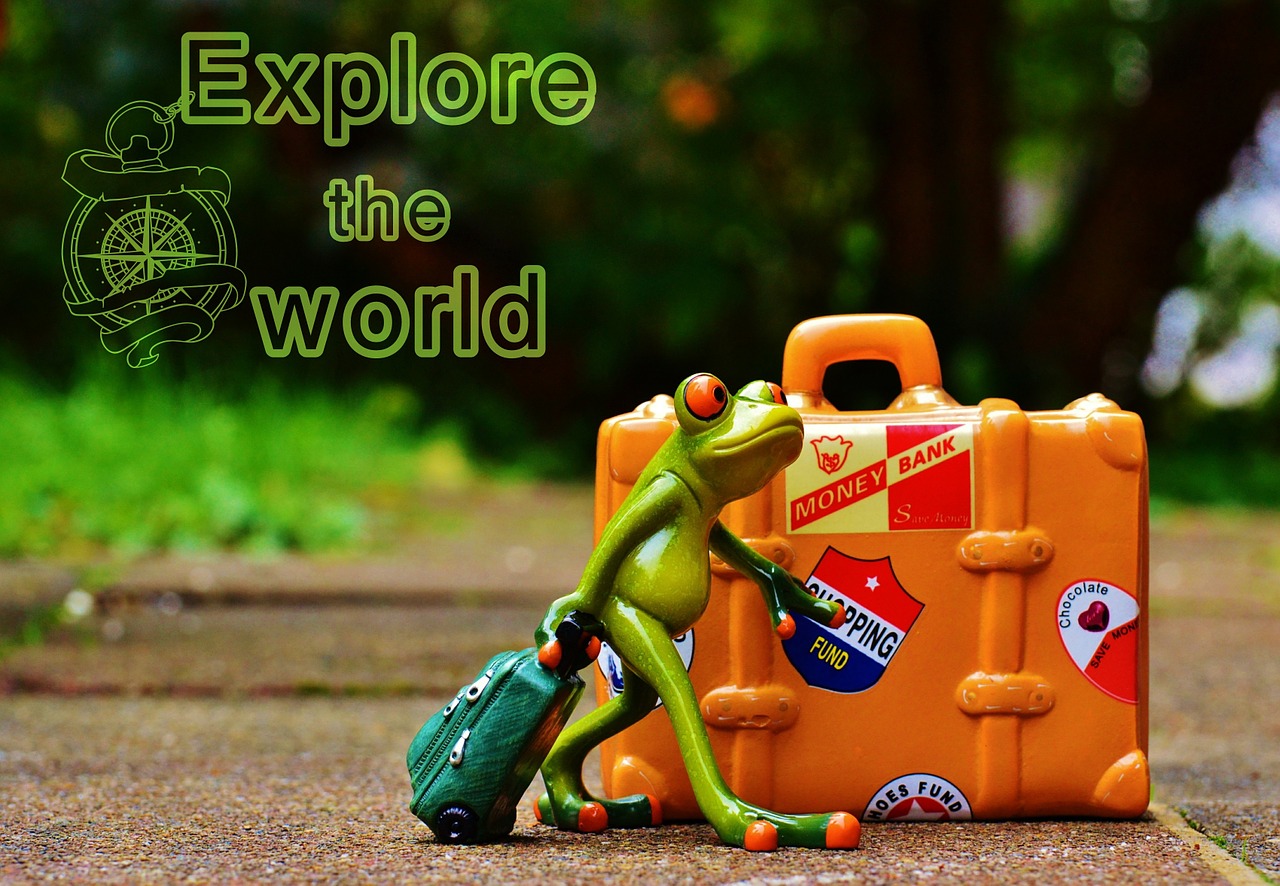 frog travel holiday free photo