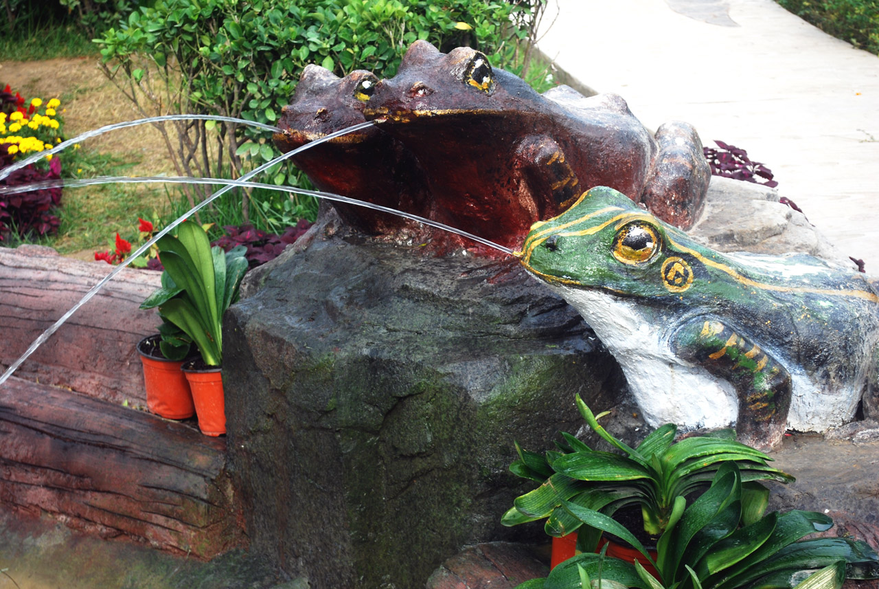 frog fountain garden free photo