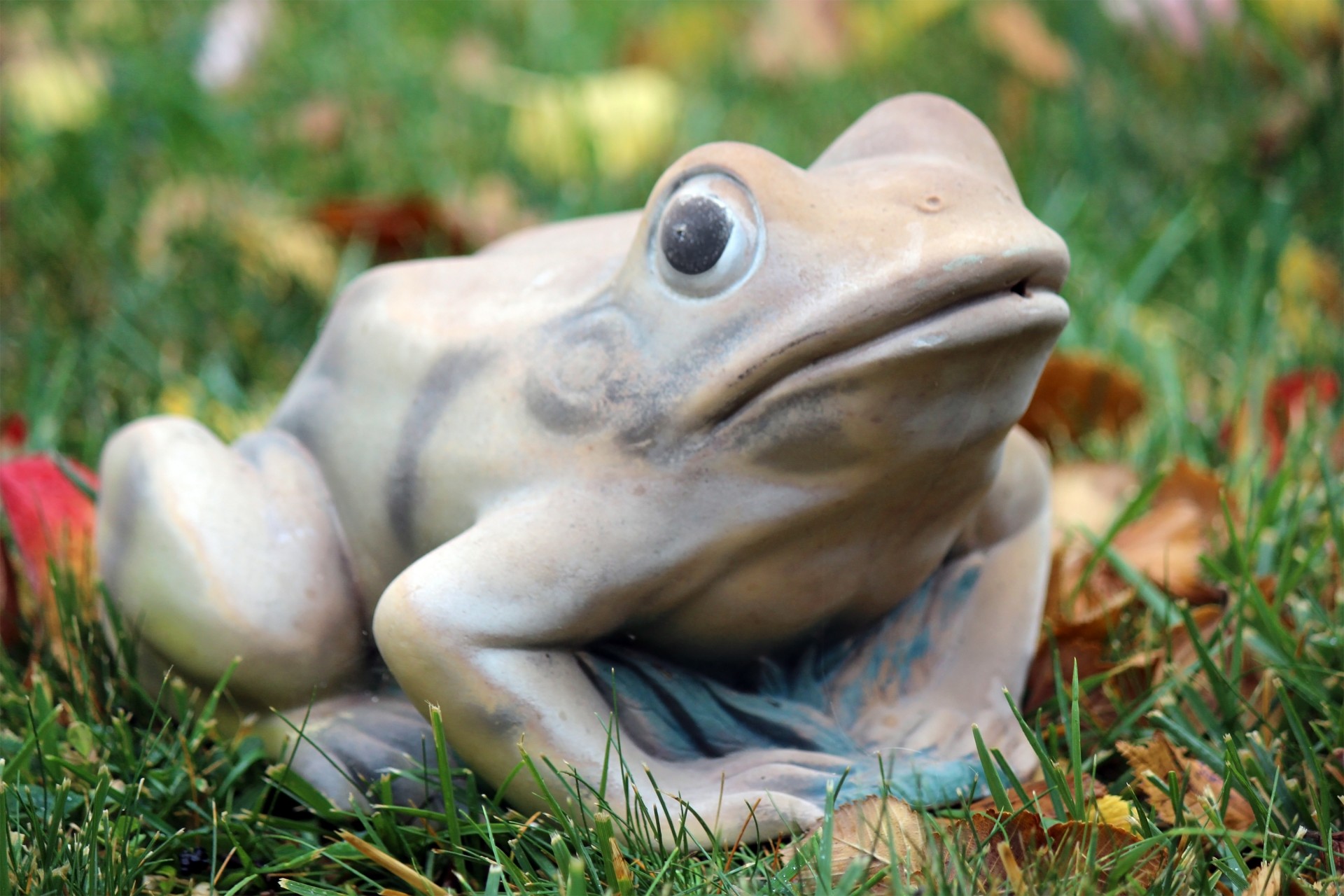 frog garden ornament free photo