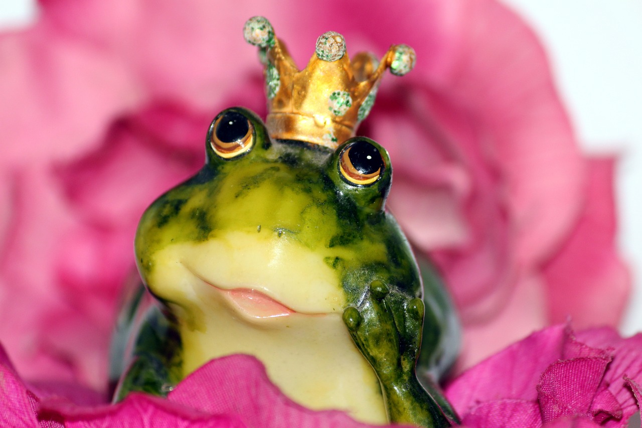 frog prince crown flower free photo