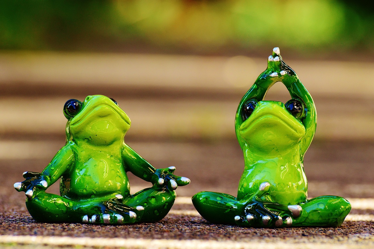 frogs figure yoga free photo