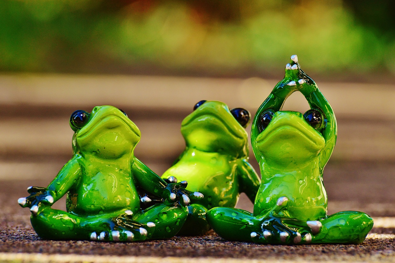 frogs figure yoga free photo