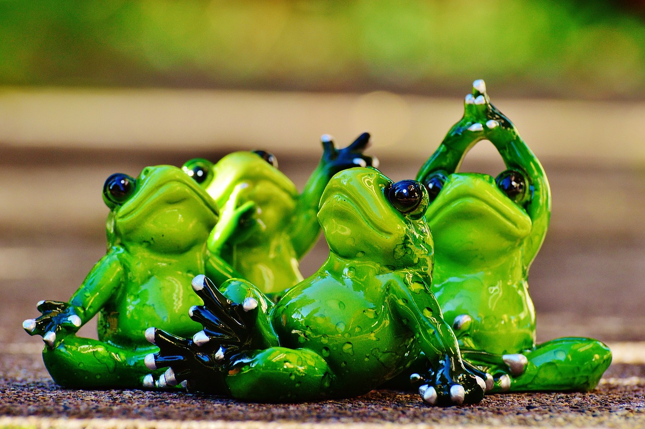 frogs figure yoga free photo