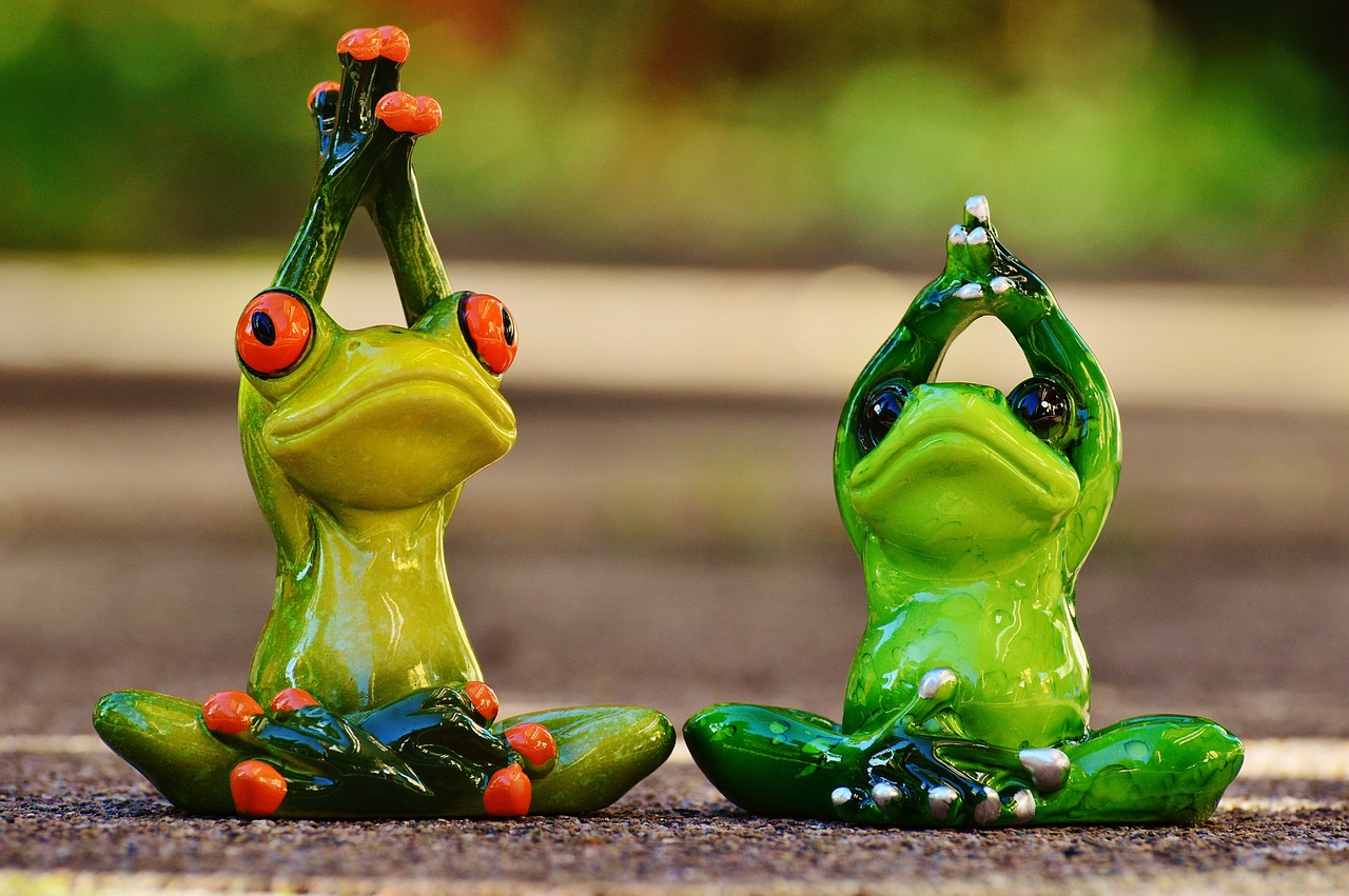 frogs figure yoga free photo