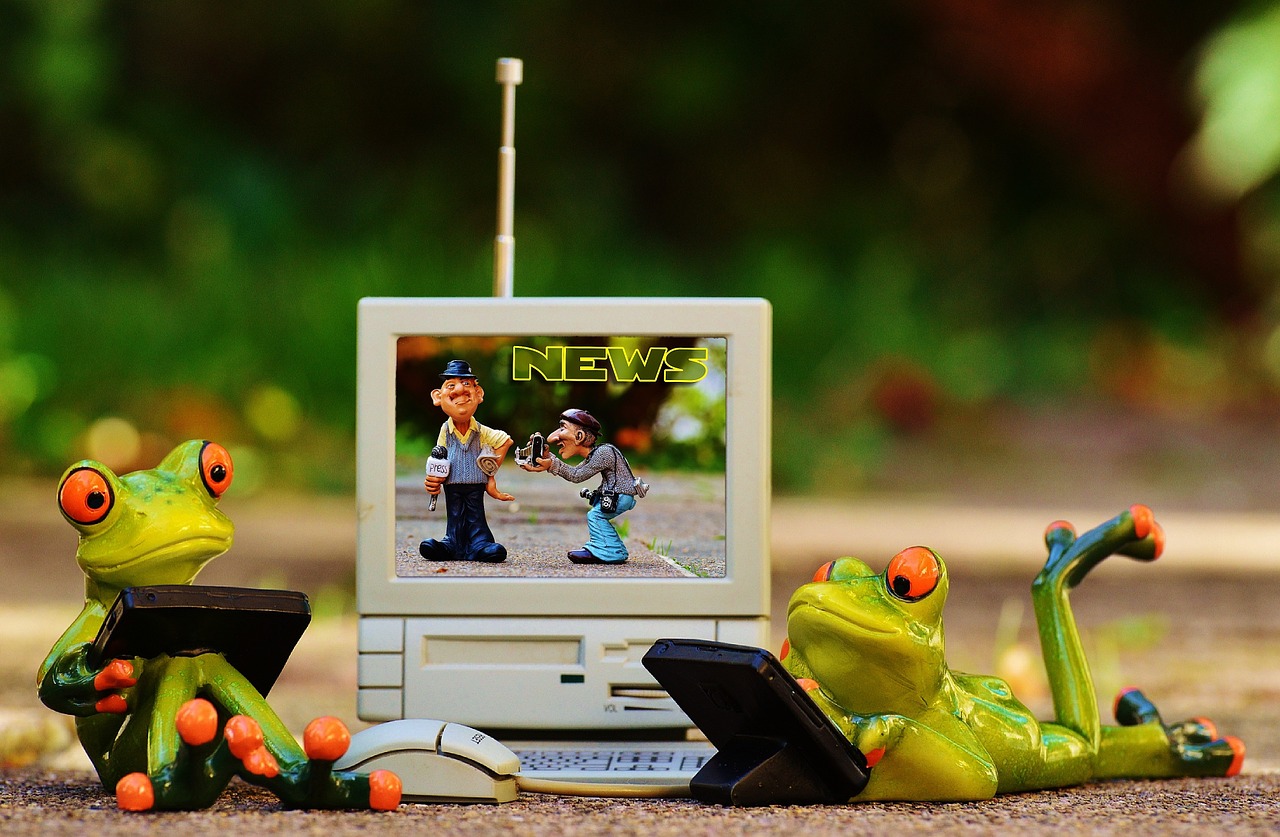 frogs computer news free photo