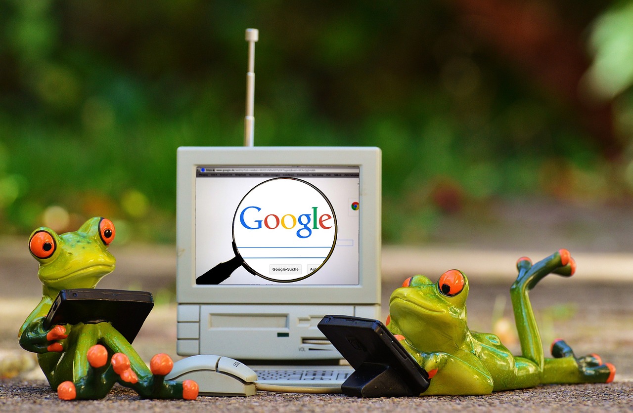 frogs computer google free photo