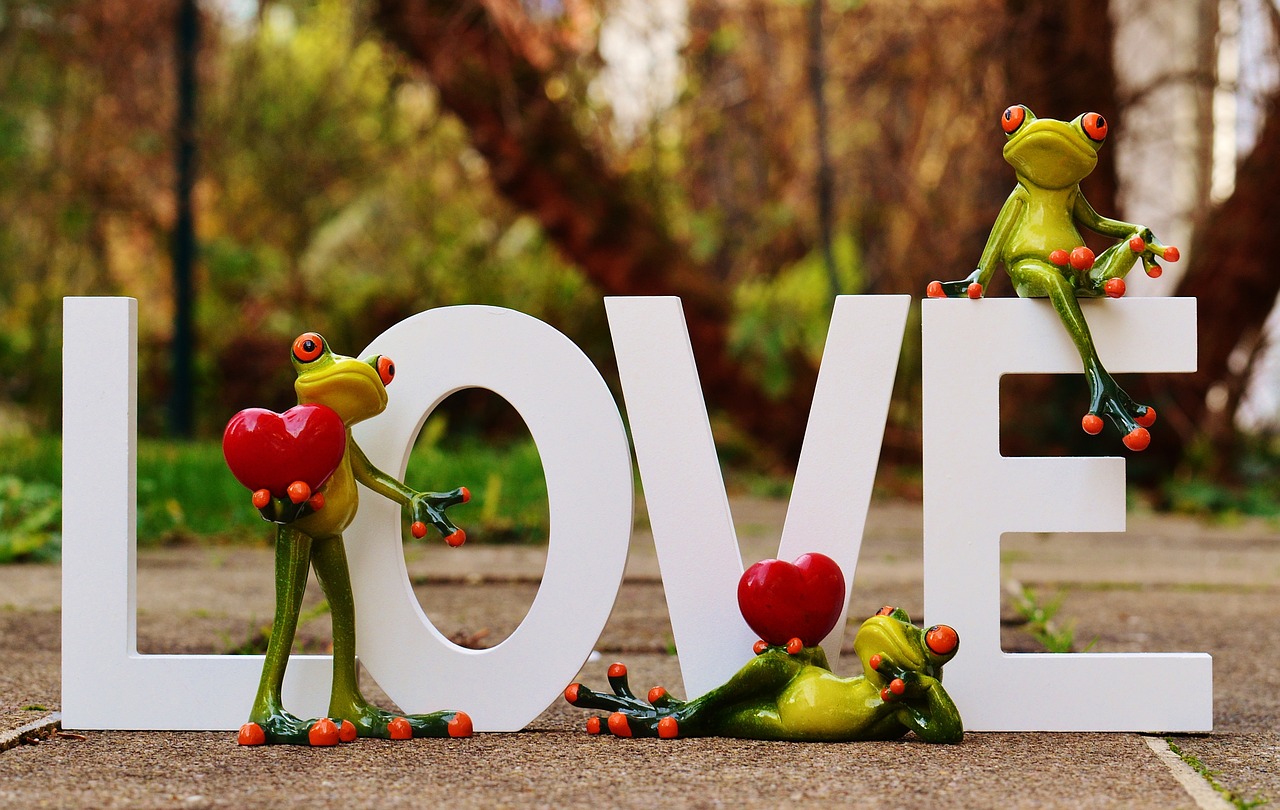 frogs pair love free photo