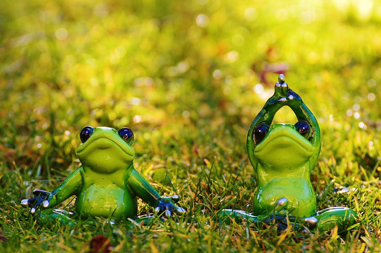 frogs yoga meadow free photo