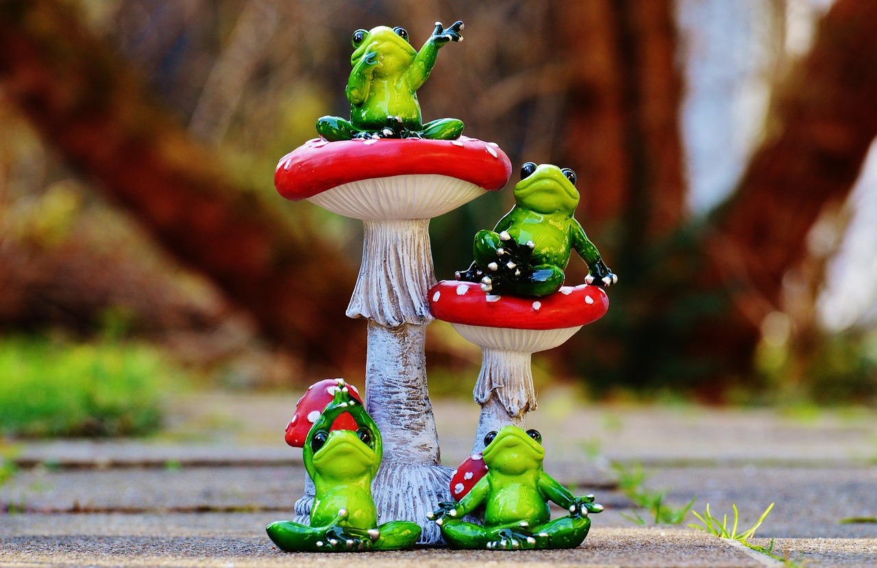 frogs mushrooms fly agaric free photo