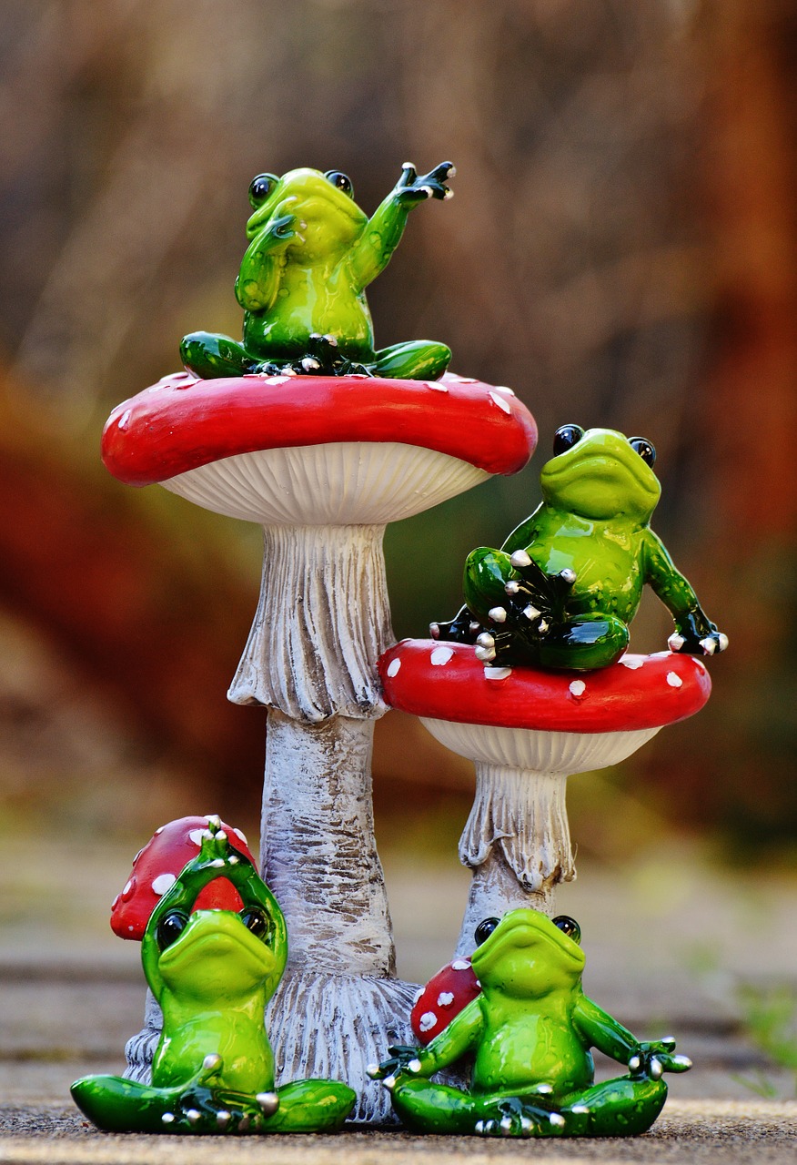 frogs mushrooms fly agaric free photo