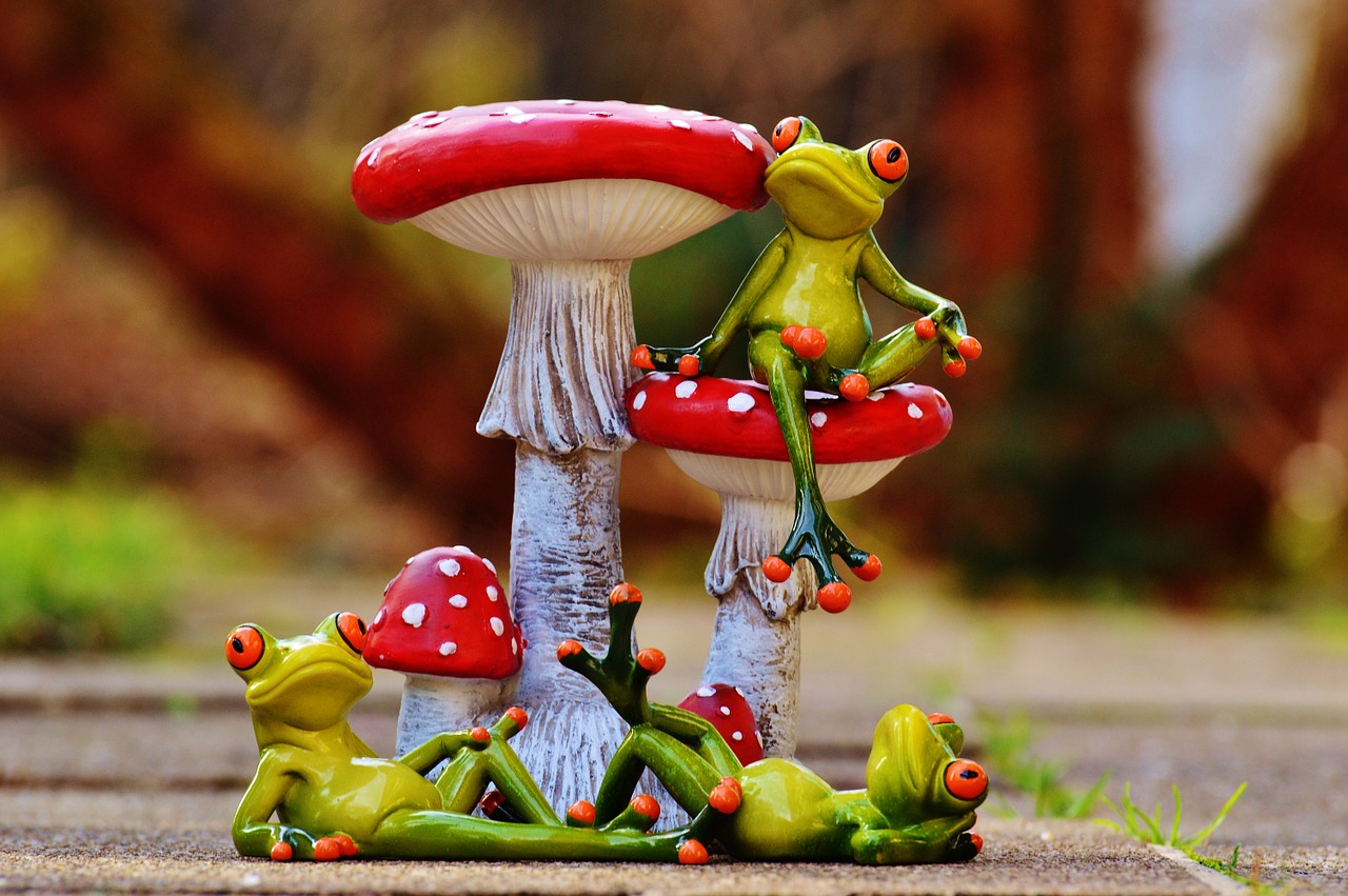 frogs mushrooms figures free photo