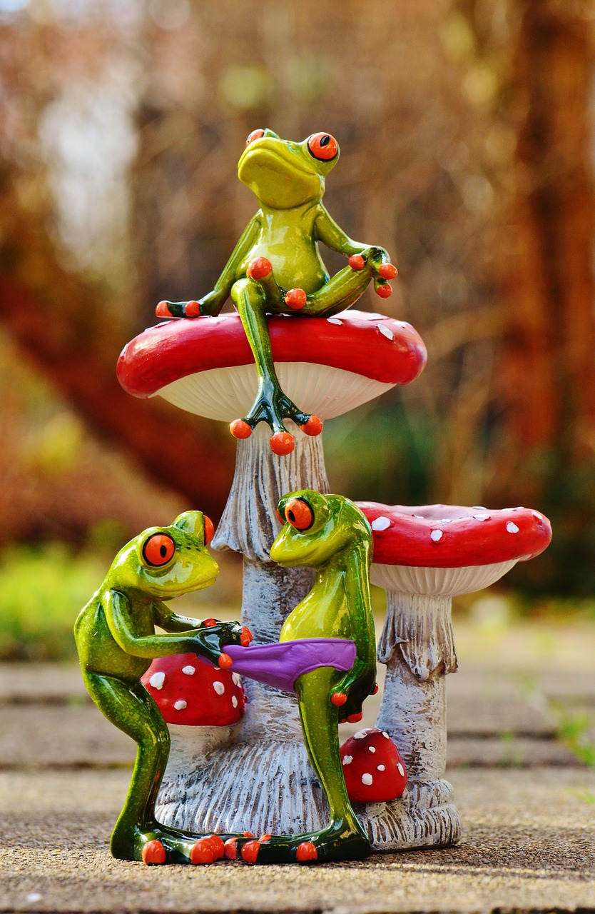 frogs mushrooms figures free photo