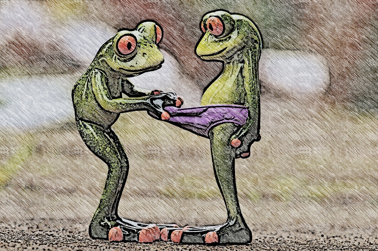 frogs drawing curious free photo