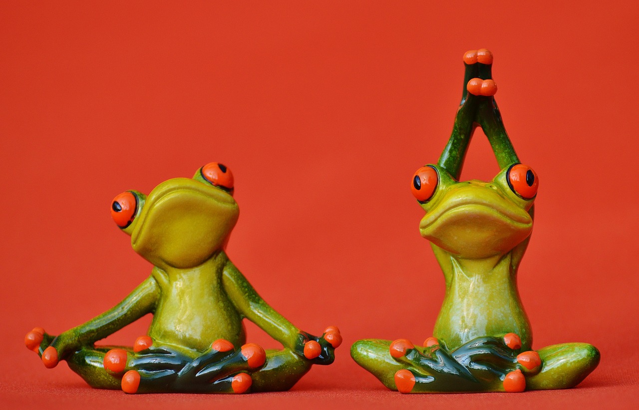 frogs figure yoga free photo