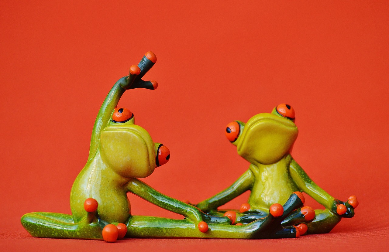 frogs figure yoga free photo