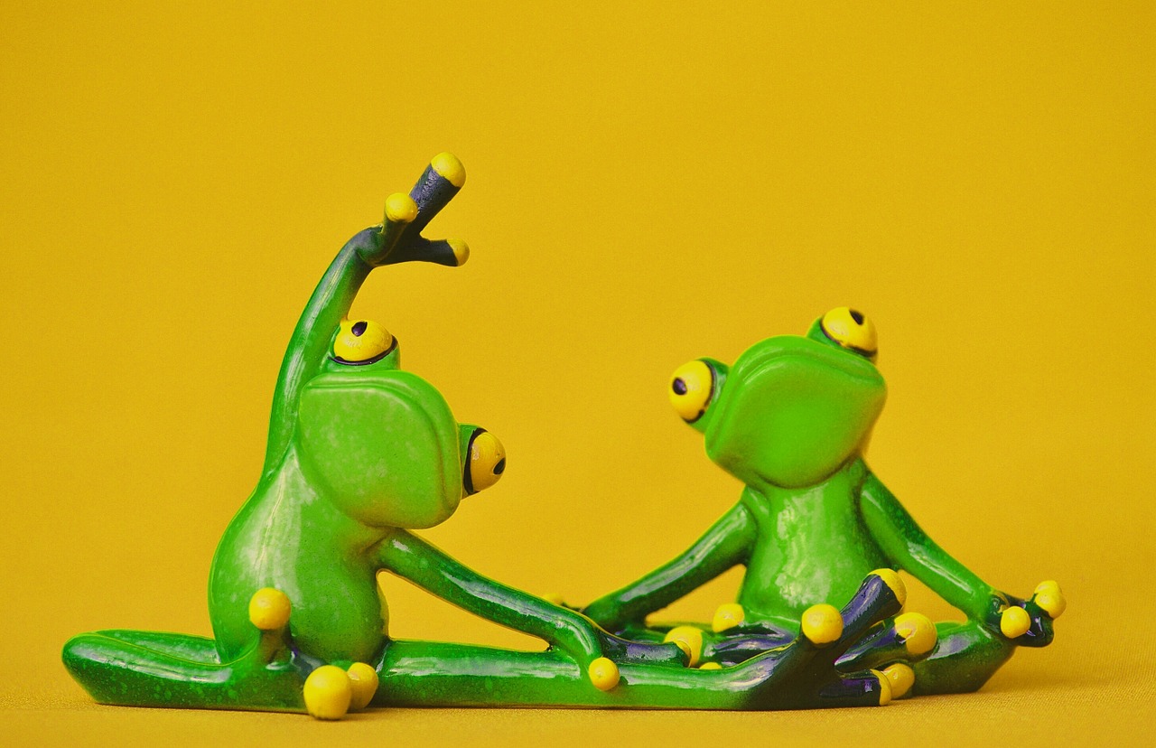 frogs figure yoga free photo