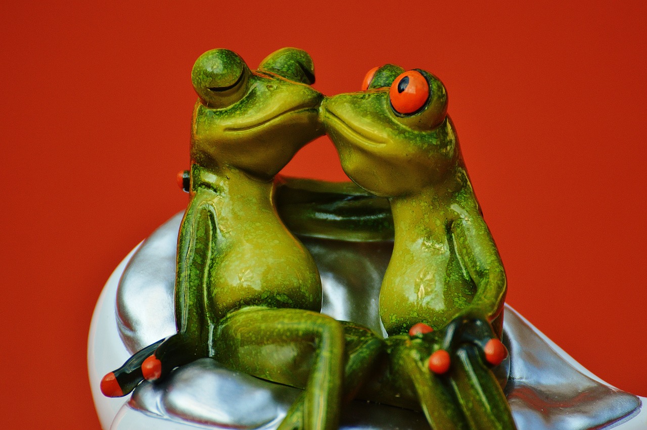 frogs lovers funny free photo