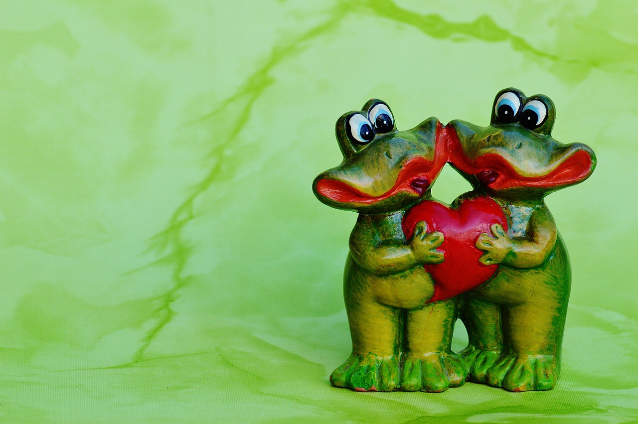 frogs pair funny free photo