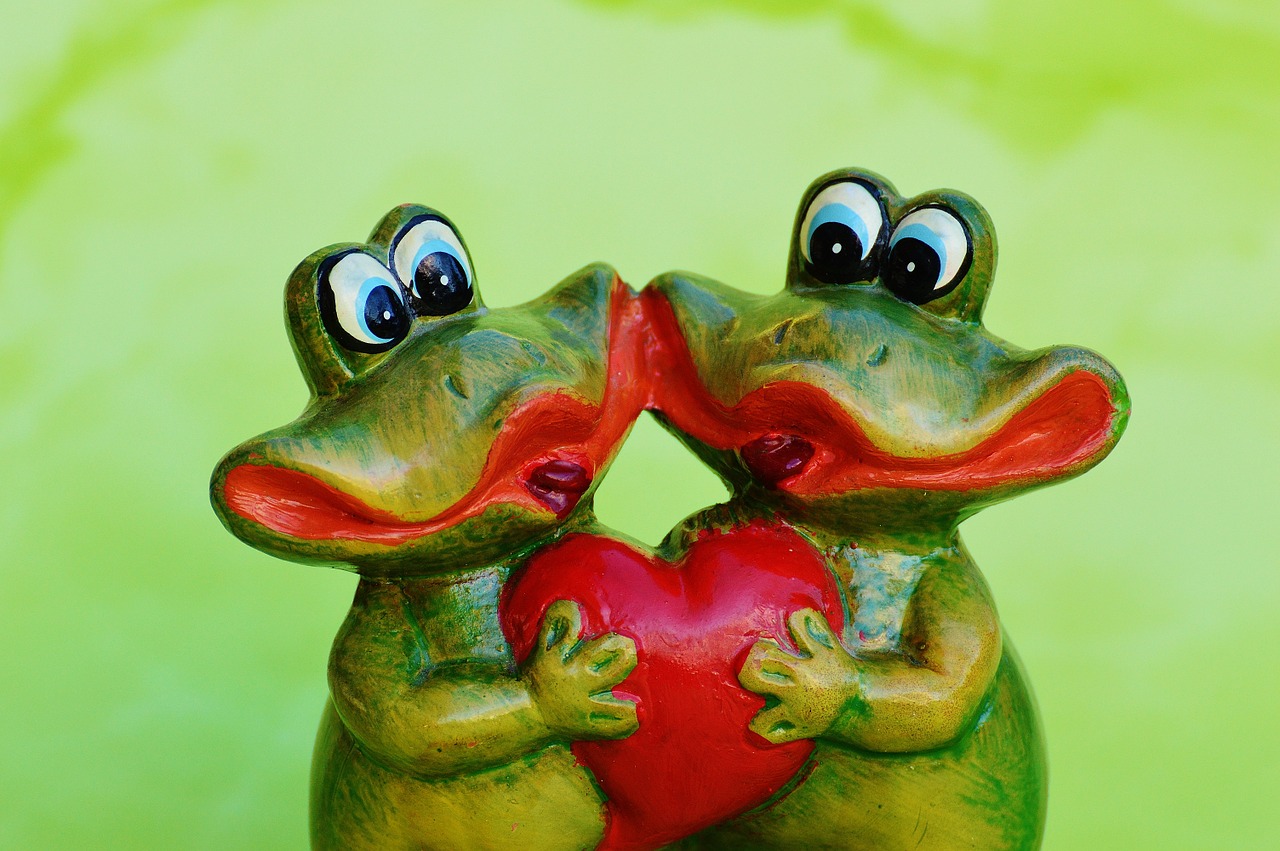 frogs pair funny free photo