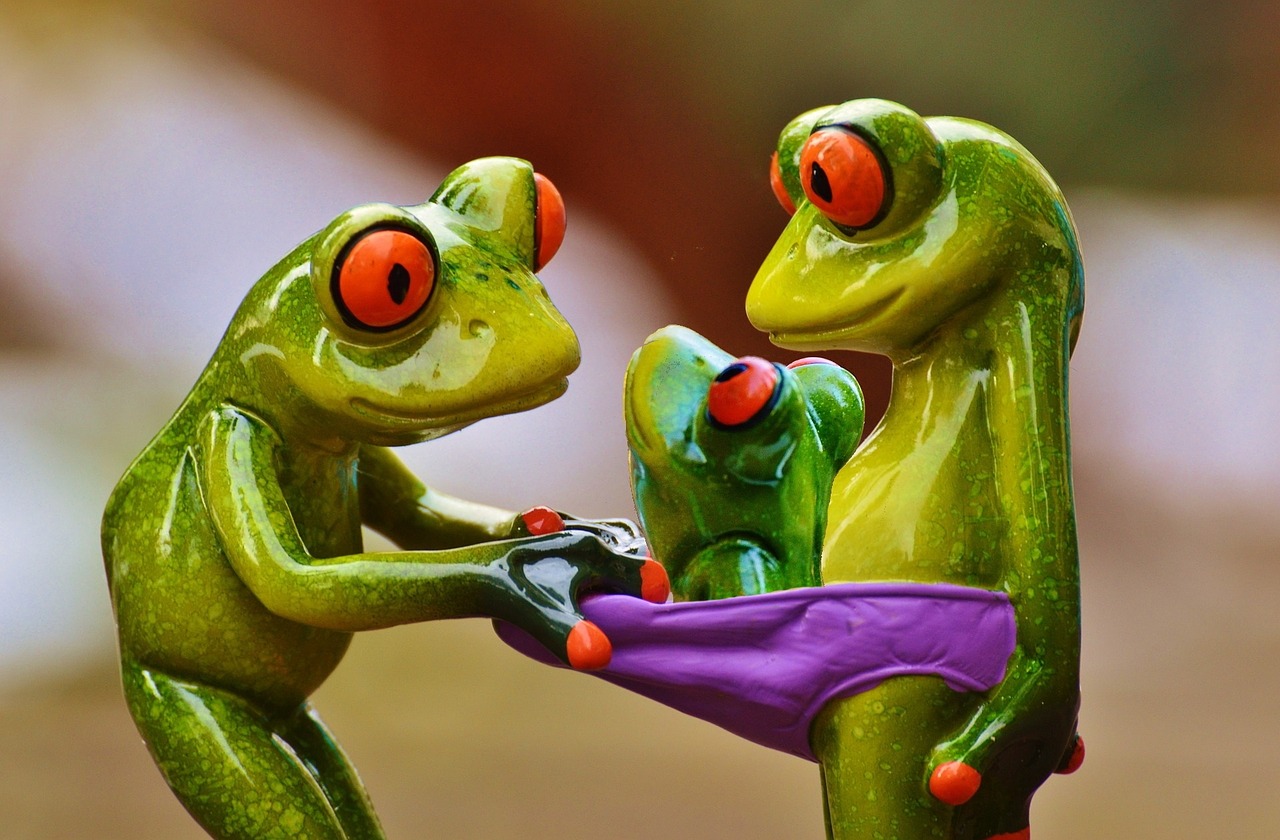 frogs curious underpants free photo