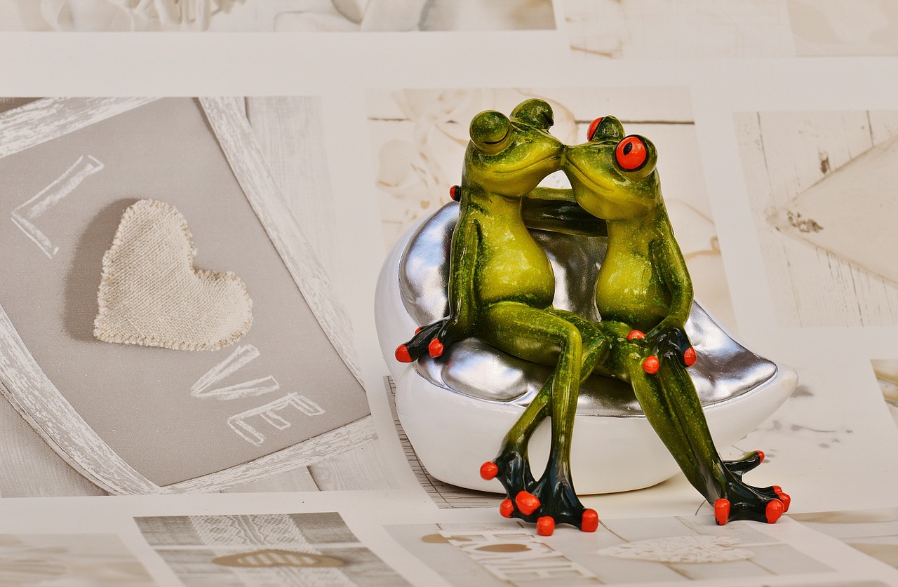 frogs lovers funny free photo