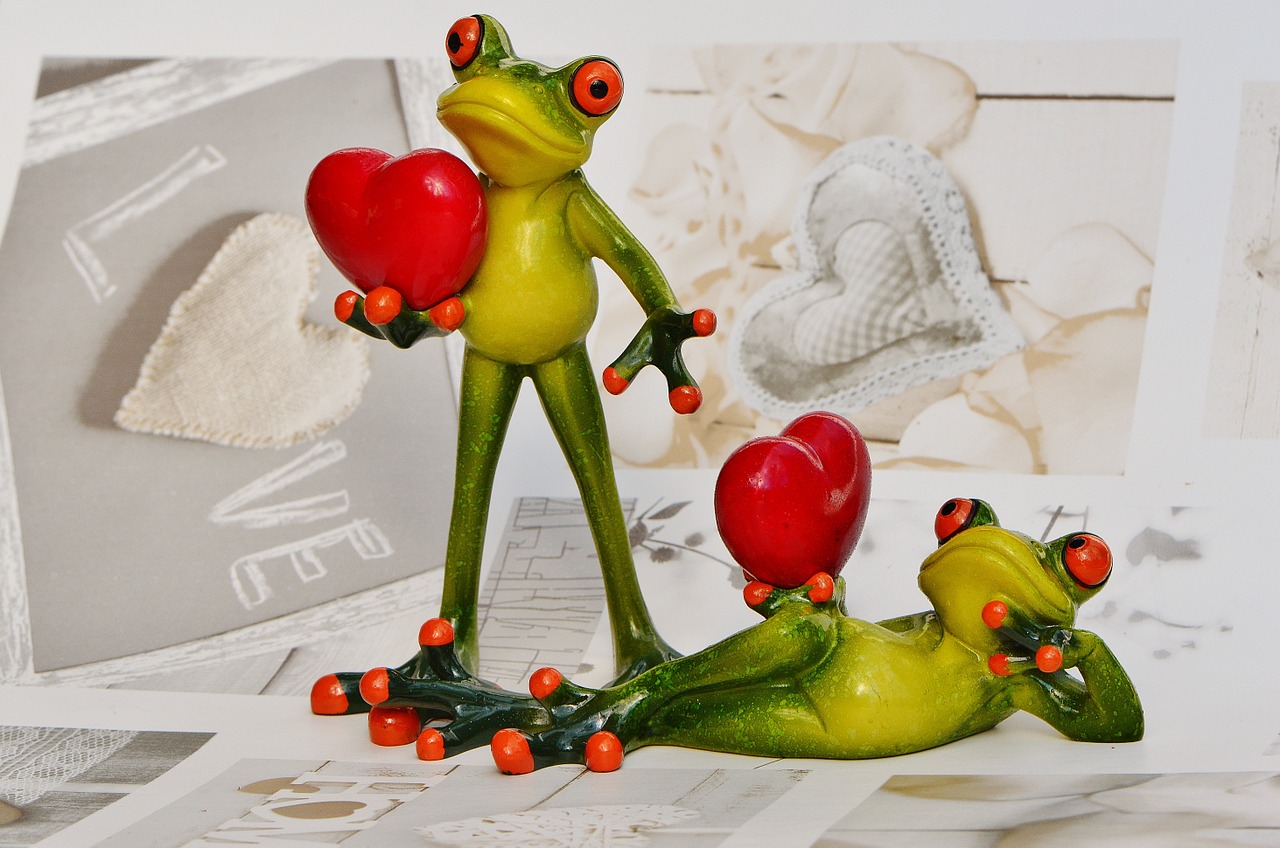 frogs pair love free photo