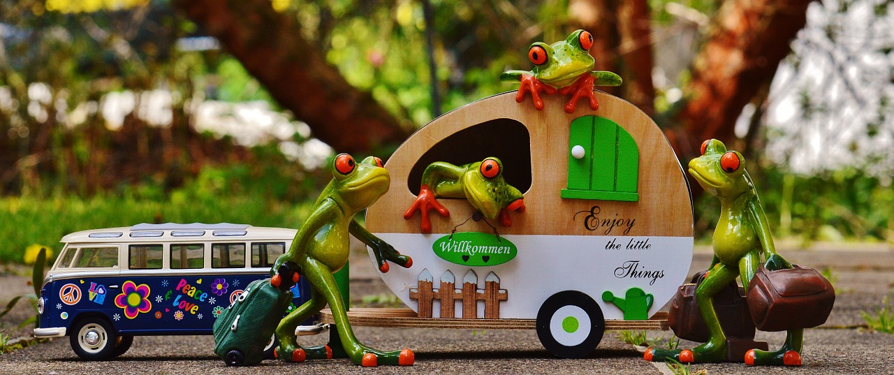 frogs bulli vw free photo