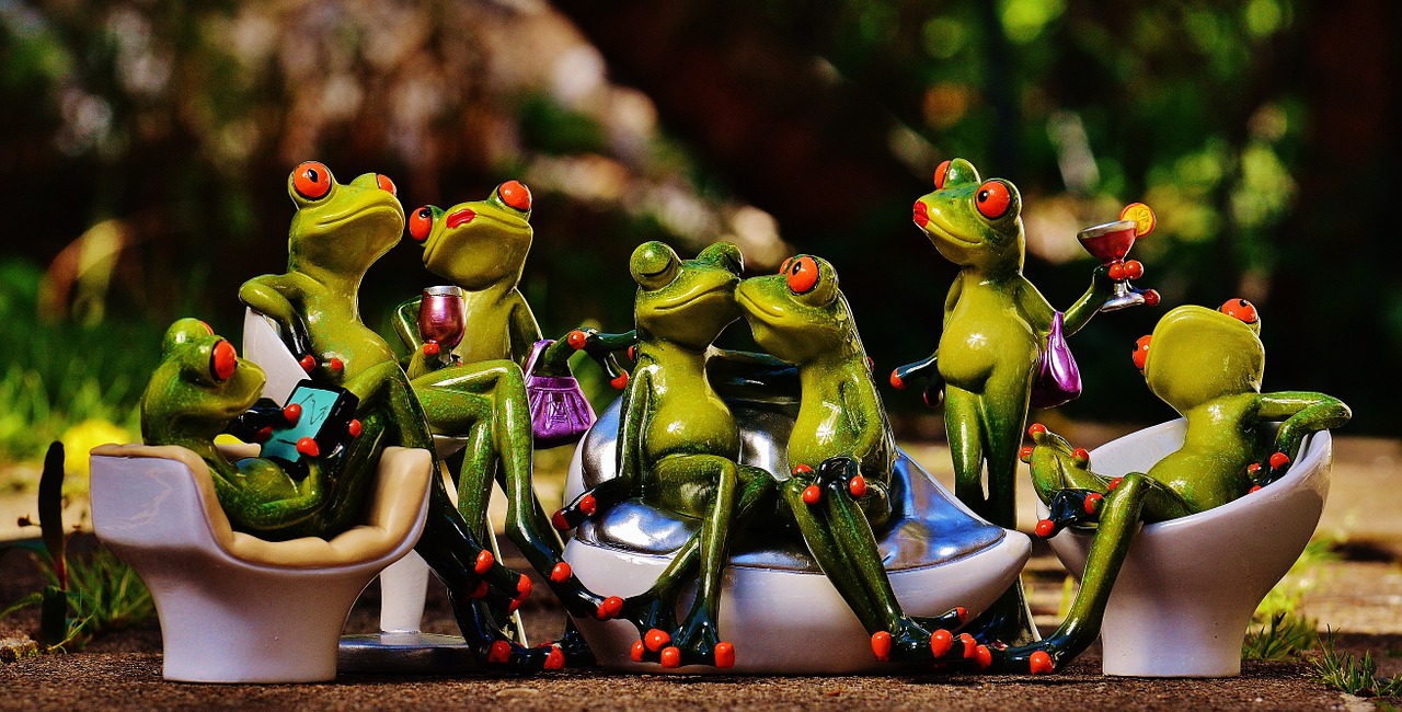 frogs party celebrate free photo