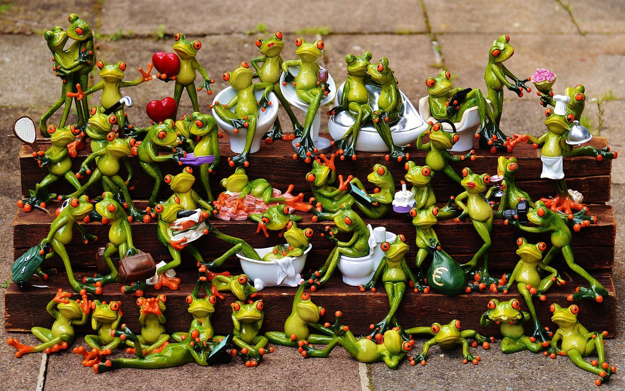 frogs many frog assembly free photo