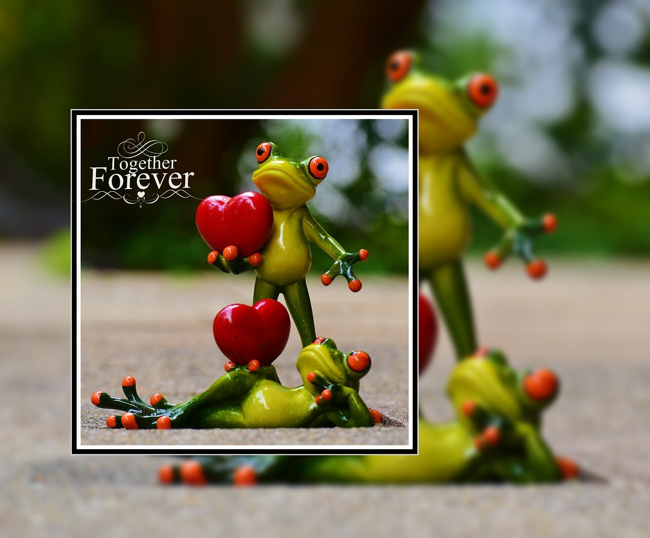 frogs love valentine's day free photo