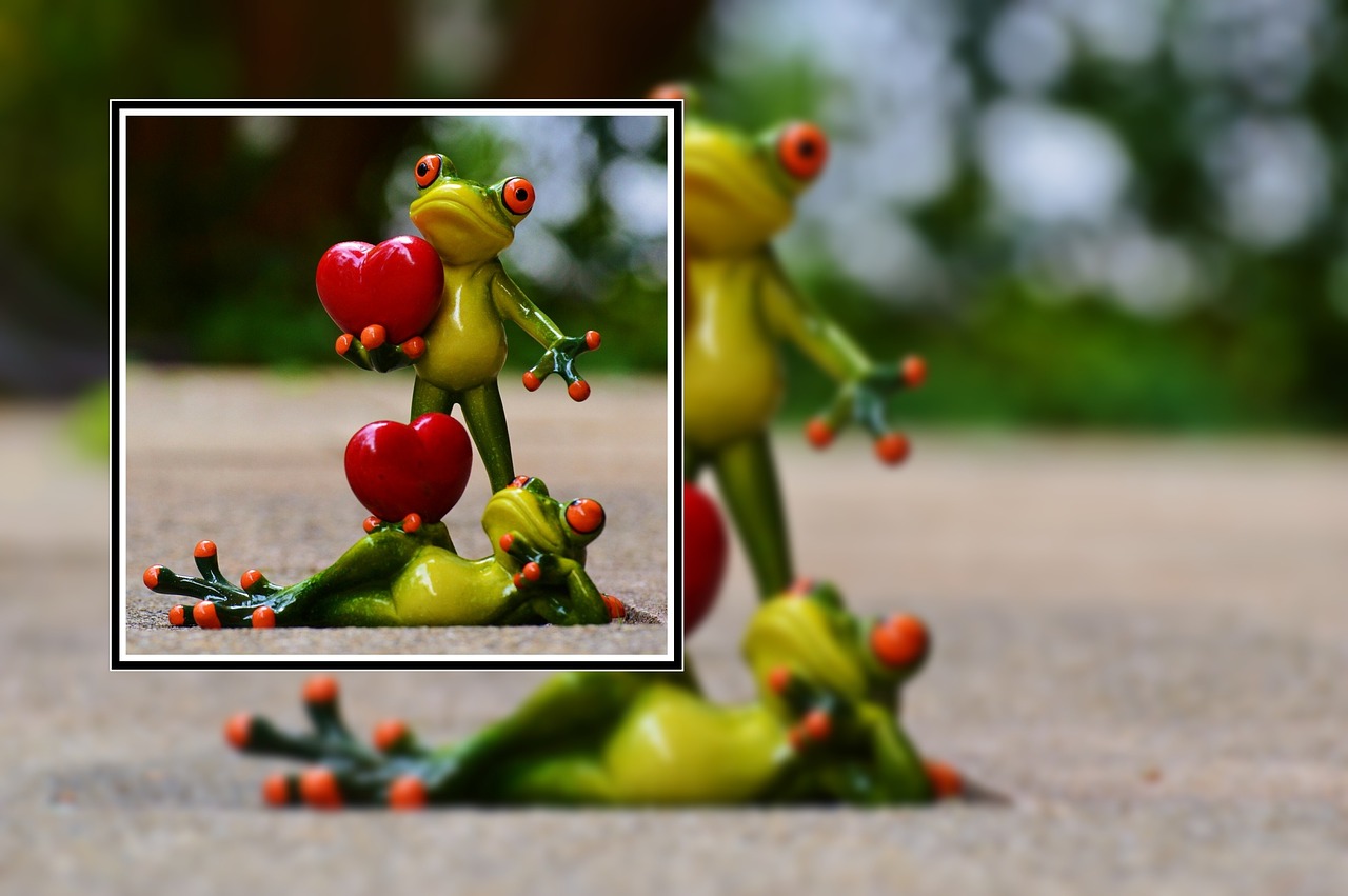 frogs love valentine's day free photo