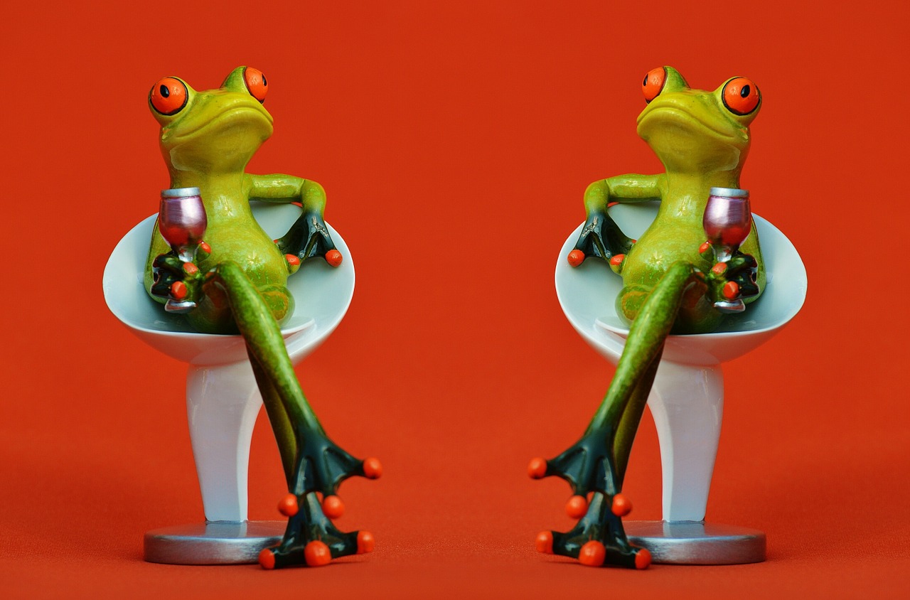 frogs chair together free photo