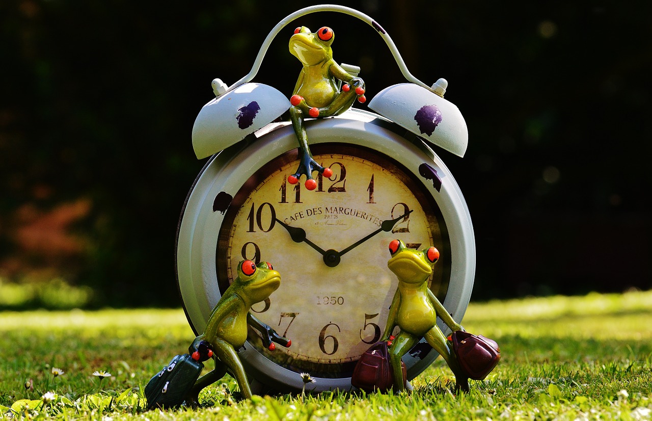 frogs time to go farewell free photo