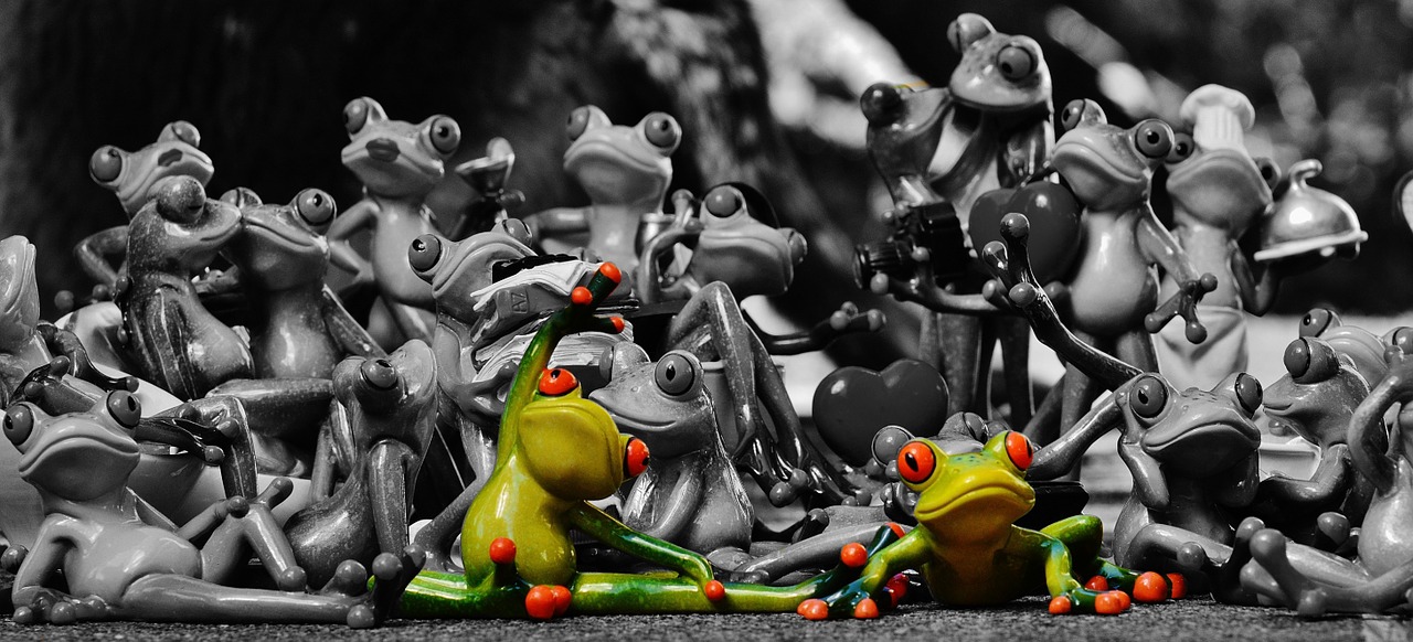 frogs many group free photo