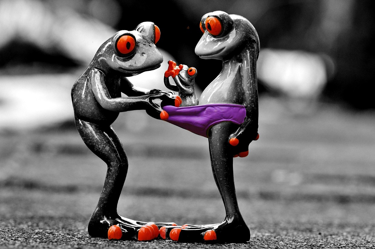 frogs curious funny free photo