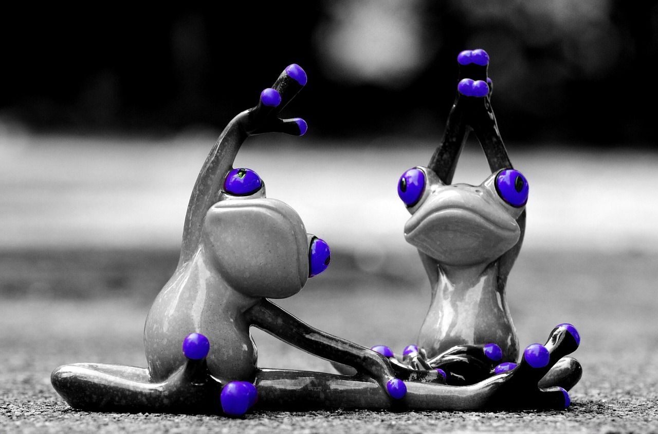 frogs gymnastics funny free photo