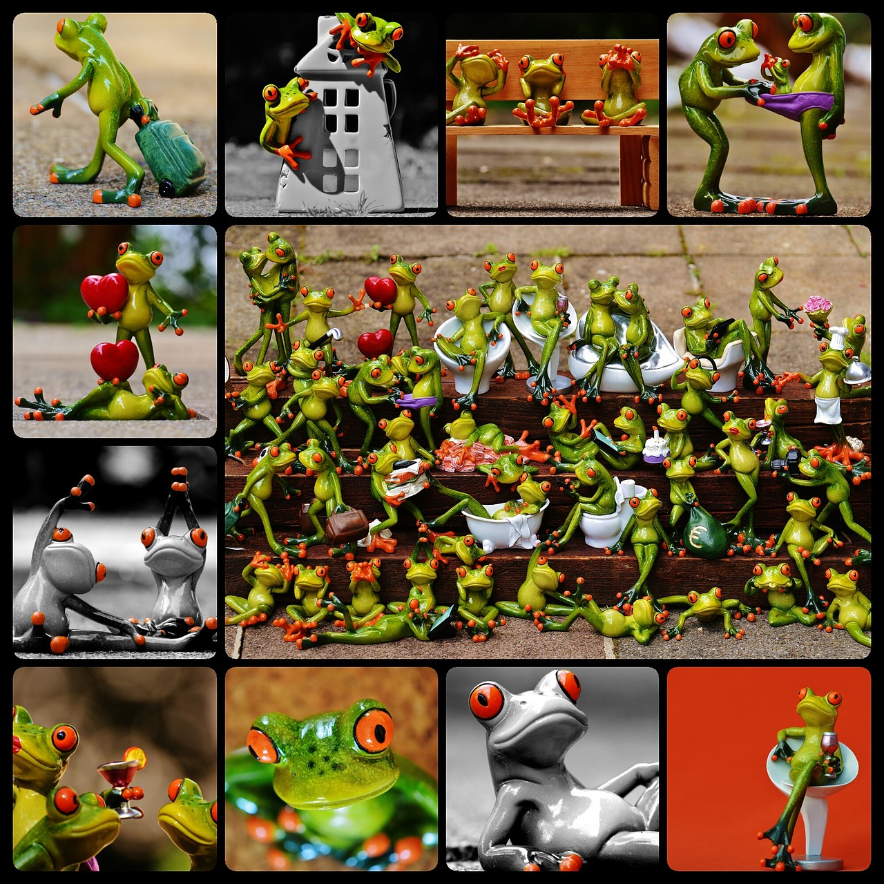 frogs collage funny free photo