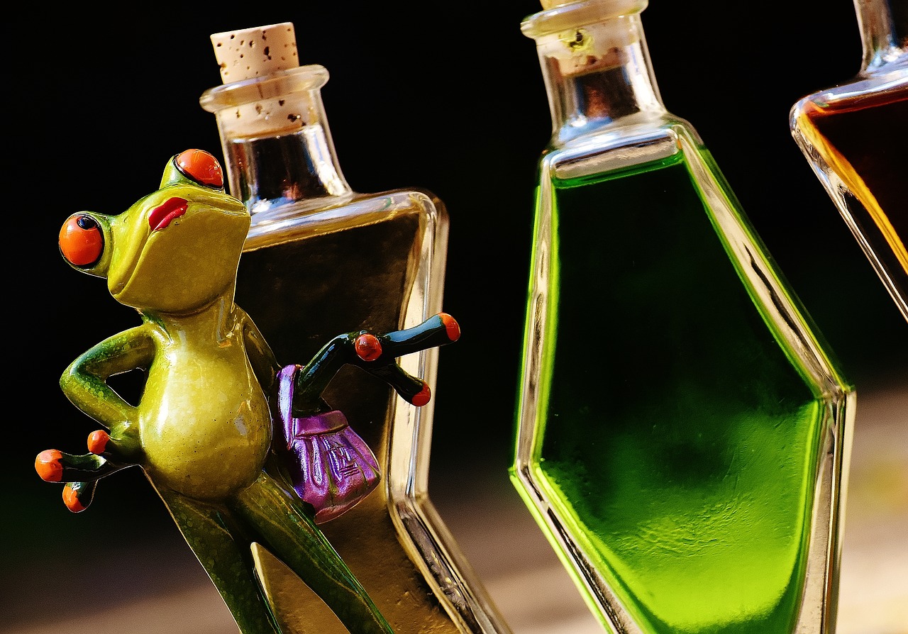 frogs chick beverages free photo