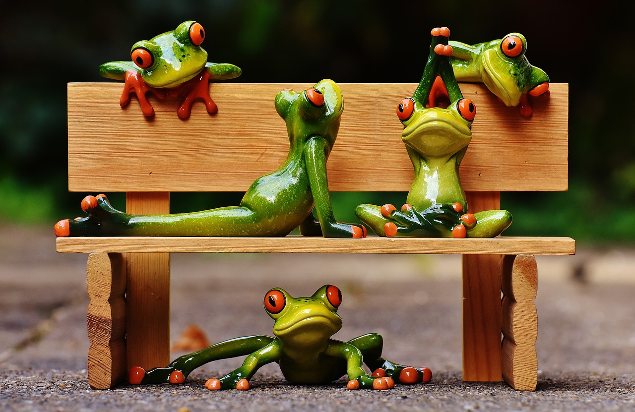 frogs yoga bank free photo