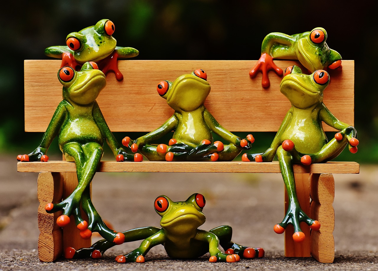 frogs sociable bank free photo
