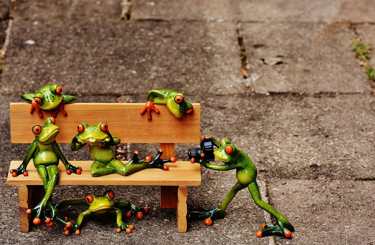 frogs sociable bank free photo
