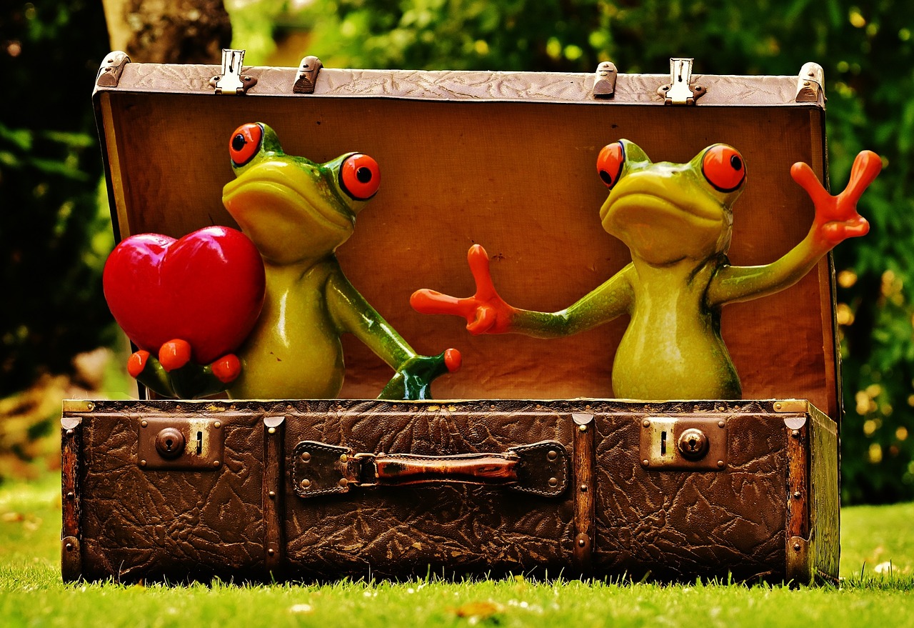 frogs homesickness travel free photo