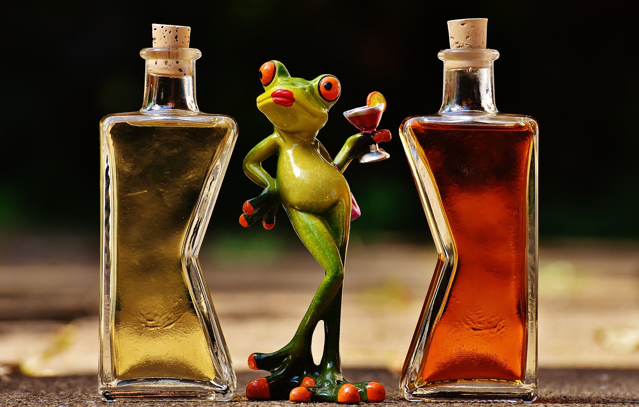 frogs chick beverages free photo