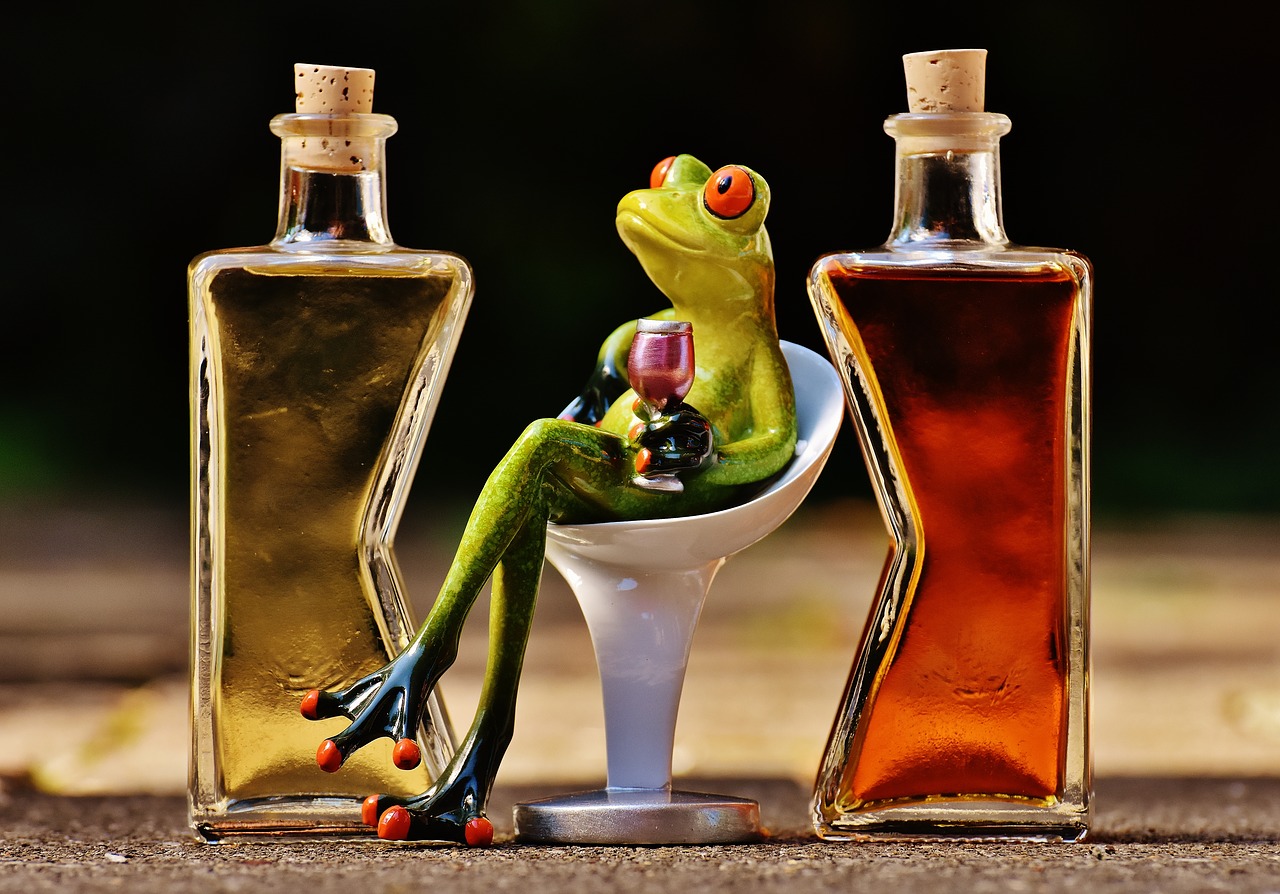 frogs chick beverages free photo