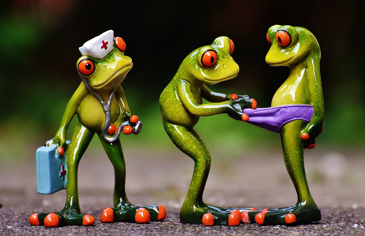 frogs emergency figures free photo